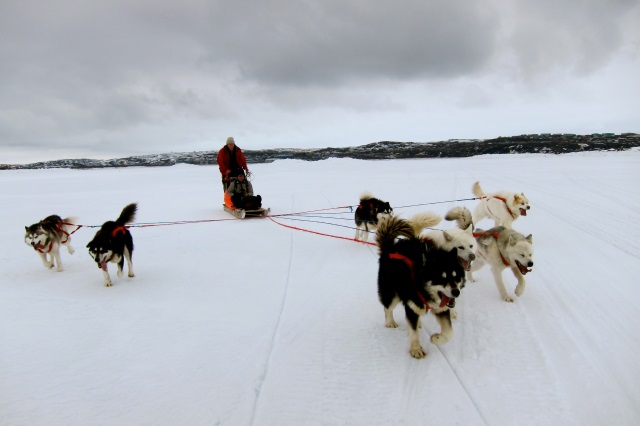 The right to food security in a changing Arctic