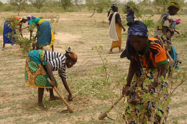 Women's land rights in Maradi, Niger