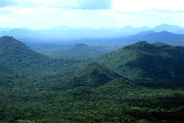 Pursuing REDD+ as a viable development option: Lessons from Guyana’s experience