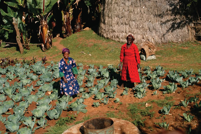 Event: Food and Nutrition Security, Health and Gender Equality – Partnerships for climate-resilient sustainable development