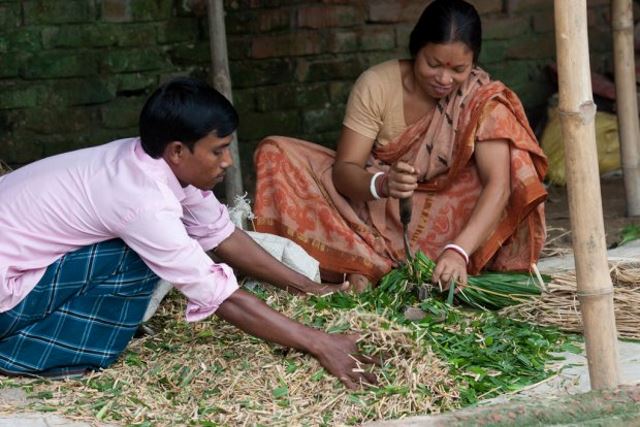 Closing the Gender Gap in Farming Under Climate Change