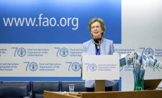 Mary Robinson during her keynote speech at the 42nd Session of the Committee on World Food Security (CFS) at the FAO headquarters in Rome. 13 October 2015 (Photo: FAO/Giuseppe Carotenuto)